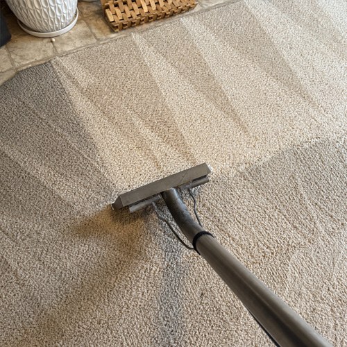 Pro Team Carpet Cleaning wand leaving clean stripes