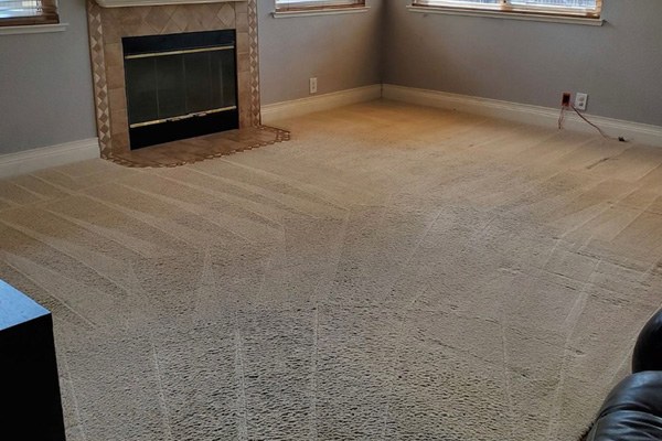 Pro Team Carpet Cleaning living room carpet after cleaning
