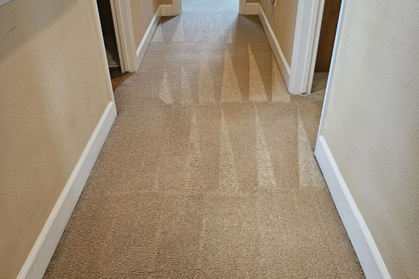 Pro Team Carpet Cleaning hallway carpet after cleaning